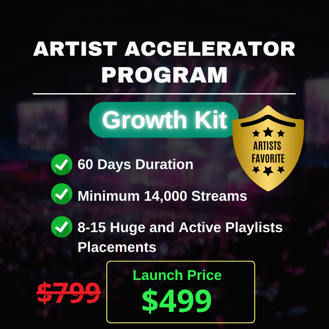 Artist Accelerator Program - Organic - Image 3