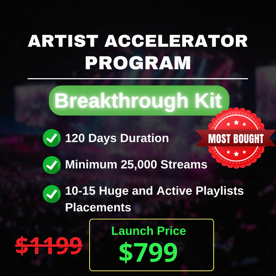 Artist Accelerator Program - Organic - Image 4